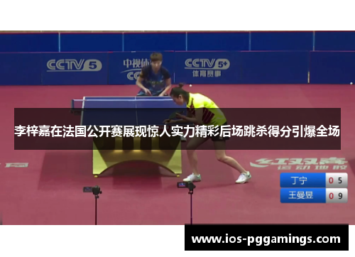 李梓嘉在法国公开赛展现惊人实力精彩后场跳杀得分引爆全场